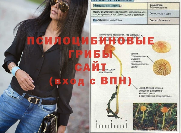 mix Алексеевка