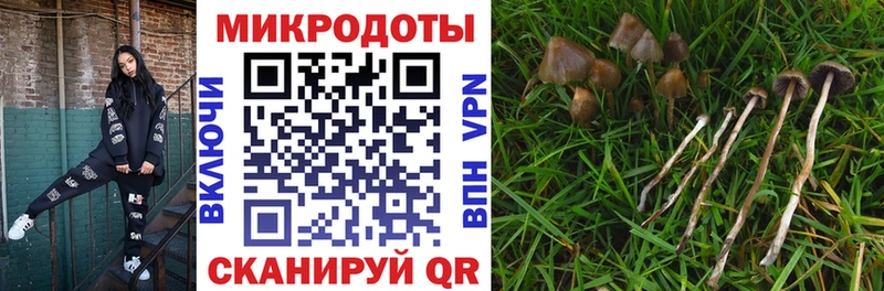 Псилоцибиновые грибы Magic Shrooms  Гуково 