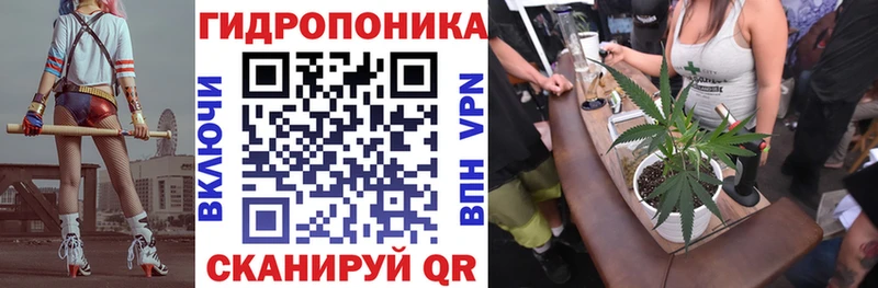 Канабис семена купить наркотики сайты Гуково